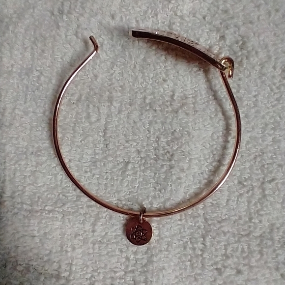 Coppertone science will not be silenced wire bracelet - Picture 3 of 6